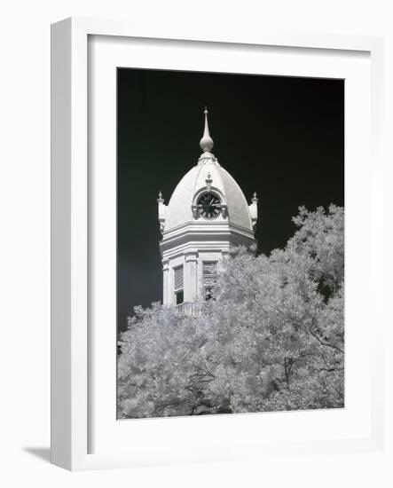 Monroe County Courthouse, Monroeville, Alabama-Carol Highsmith-Framed Photo