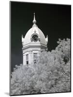 Monroe County Courthouse, Monroeville, Alabama-Carol Highsmith-Mounted Photo