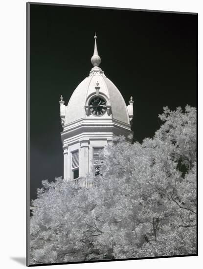 Monroe County Courthouse, Monroeville, Alabama-Carol Highsmith-Mounted Photo