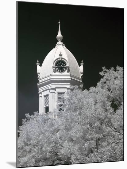 Monroe County Courthouse, Monroeville, Alabama-Carol Highsmith-Mounted Photo