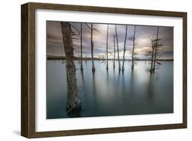 Monroe, LA: Black Bayou Lake, Part Of The National Wildlife Refuge & Fish & Wildlife Service-Ian Shive-Framed Photographic Print