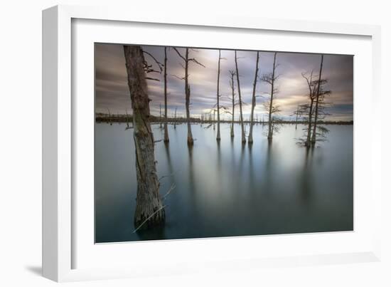 Monroe, LA: Black Bayou Lake, Part Of The National Wildlife Refuge & Fish & Wildlife Service-Ian Shive-Framed Photographic Print