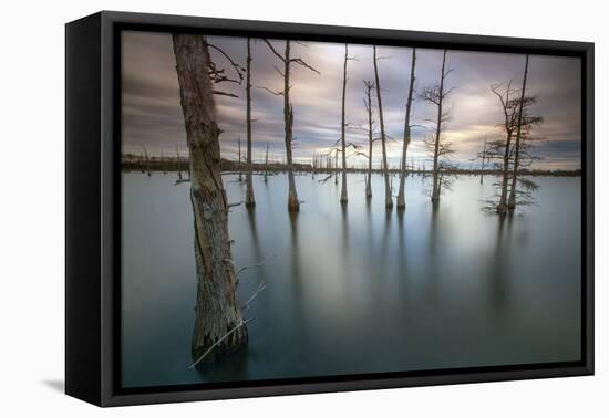 Monroe, LA: Black Bayou Lake, Part Of The National Wildlife Refuge & Fish & Wildlife Service-Ian Shive-Framed Stretched Canvas