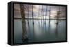 Monroe, LA: Black Bayou Lake, Part Of The National Wildlife Refuge & Fish & Wildlife Service-Ian Shive-Framed Stretched Canvas