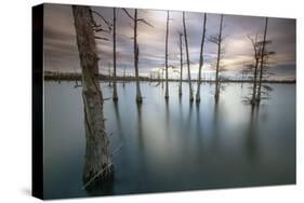 Monroe, LA: Black Bayou Lake, Part Of The National Wildlife Refuge & Fish & Wildlife Service-Ian Shive-Stretched Canvas