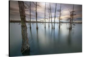 Monroe, LA: Black Bayou Lake, Part Of The National Wildlife Refuge & Fish & Wildlife Service-Ian Shive-Stretched Canvas