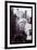 Monroe, Marilyn, 9999-null-Framed Premium Giclee Print