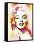 Monroe Mix 1-XLVI-Fernando Palma-Framed Stretched Canvas