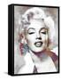 Monroe Mix 6-LI-Fernando Palma-Framed Stretched Canvas