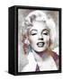 Monroe Mix 6-LI-Fernando Palma-Framed Stretched Canvas