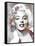 Monroe Mix 6-LI-Fernando Palma-Framed Stretched Canvas