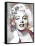 Monroe Mix 6-LI-Fernando Palma-Framed Stretched Canvas