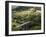 Monsal Head Viaduct, White Peak, Peak District National Park, Derbyshire, England, UK-White Gary-Framed Photographic Print