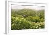 Monsal Trail Crosses Monsal Dale on Monsal Head Viaduct, Limestone Dale Scenery in Summer-Eleanor Scriven-Framed Photographic Print