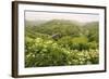 Monsal Trail Crosses Monsal Dale on Monsal Head Viaduct, Limestone Dale Scenery in Summer-Eleanor Scriven-Framed Photographic Print