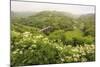 Monsal Trail Crosses Monsal Dale on Monsal Head Viaduct, Limestone Dale Scenery in Summer-Eleanor Scriven-Mounted Photographic Print