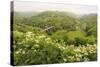 Monsal Trail Crosses Monsal Dale on Monsal Head Viaduct, Limestone Dale Scenery in Summer-Eleanor Scriven-Stretched Canvas