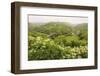 Monsal Trail Crosses Monsal Dale on Monsal Head Viaduct, Limestone Dale Scenery in Summer-Eleanor Scriven-Framed Photographic Print