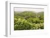 Monsal Trail Crosses Monsal Dale on Monsal Head Viaduct, Limestone Dale Scenery in Summer-Eleanor Scriven-Framed Photographic Print