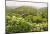 Monsal Trail Crosses Monsal Dale on Monsal Head Viaduct, Limestone Dale Scenery in Summer-Eleanor Scriven-Mounted Photographic Print