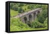 Monsal Trail, Crowded with Cyclists, Former Rail Line Viaduct over Monsal Dale at Monsal Head-Eleanor Scriven-Framed Stretched Canvas