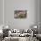 Monsanto, Idanha-A-Nova, Portugal, Europe-Alex Robinson-Photographic Print displayed on a wall