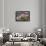 Monsanto, Idanha-A-Nova, Portugal, Europe-Alex Robinson-Framed Photographic Print displayed on a wall