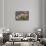 Monsanto, Idanha-A-Nova, Portugal, Europe-Alex Robinson-Framed Stretched Canvas displayed on a wall