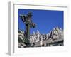 Monserrat Monastery and Ornate Cross, Monserrat, Cataluna, Spain, Europe-Charles Bowman-Framed Photographic Print