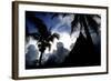 Monsoon Rains are a Common Occurrence in Thailand During the Summer Months-Dan Holz-Framed Photographic Print