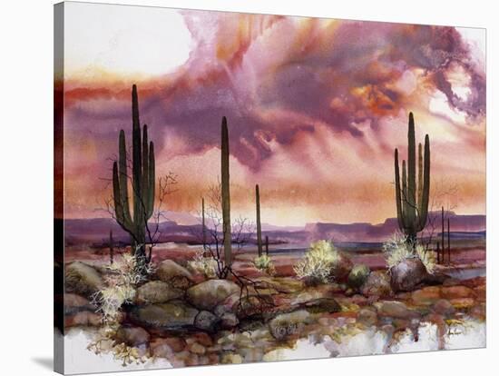 Monsoon Sunset-Adin Shade-Stretched Canvas