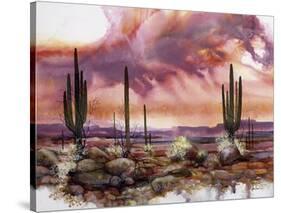 Monsoon Sunset-Adin Shade-Stretched Canvas