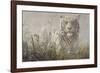 Monsoon- White Tiger (detail)-John Seerey-Lester-Framed Art Print