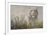 Monsoon- White Tiger (detail)-John Seerey-Lester-Framed Art Print