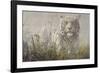 Monsoon- White Tiger (detail)-John Seerey-Lester-Framed Art Print