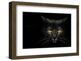 Monster Kill-Davorin Baloh-Framed Photographic Print