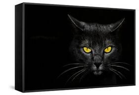 Monster Kill-Davorin Baloh-Framed Stretched Canvas