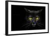 Monster Kill-Davorin Baloh-Framed Photographic Print