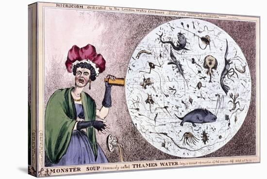 Monster Soup Commonly Called Thames Water..., 1828-Thomas McLean-Stretched Canvas