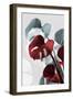 Monstera Creative 15-1x Studio III-Framed Photographic Print