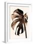 Monstera Gold-Pictufy Studio III-Framed Giclee Print