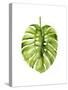 Monstera I-Grace Popp-Stretched Canvas