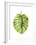 Monstera I-Grace Popp-Framed Art Print