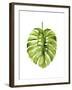 Monstera I-Grace Popp-Framed Art Print