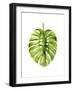 Monstera I-Grace Popp-Framed Art Print