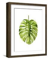 Monstera I-Grace Popp-Framed Art Print