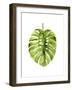 Monstera I-Grace Popp-Framed Art Print