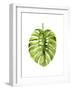 Monstera I-Grace Popp-Framed Art Print