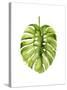 Monstera I-Grace Popp-Stretched Canvas