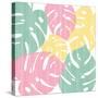 Monstera II Bright on White-Sarah Adams-Stretched Canvas